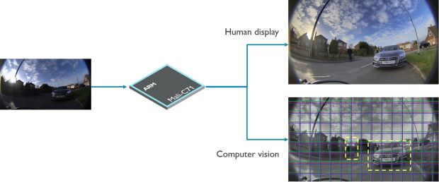 Mali-C71 output for human display and computer vision