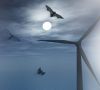 Mit der KBox und der Fleximaus-Software erhalten die Windpark-Betreibern eine smarte Lösung
