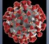 Corona-Virus Covid-19 beziehungsweise SARS-CoV-2. Schweizer Forscher haben einen schnell messenden, spezifischen Sensor für diese Virus-RNA entwickelt.