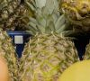 Der Temperatursensor im Miniformat überprüft die Lagerbedingungen von Ananas.